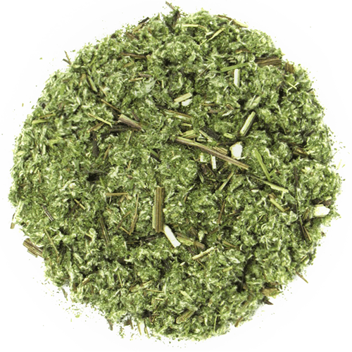 Mugwort, Organic